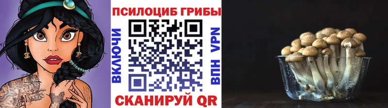 Псилоцибиновые грибы мухоморы  цены   Нижние Серги 